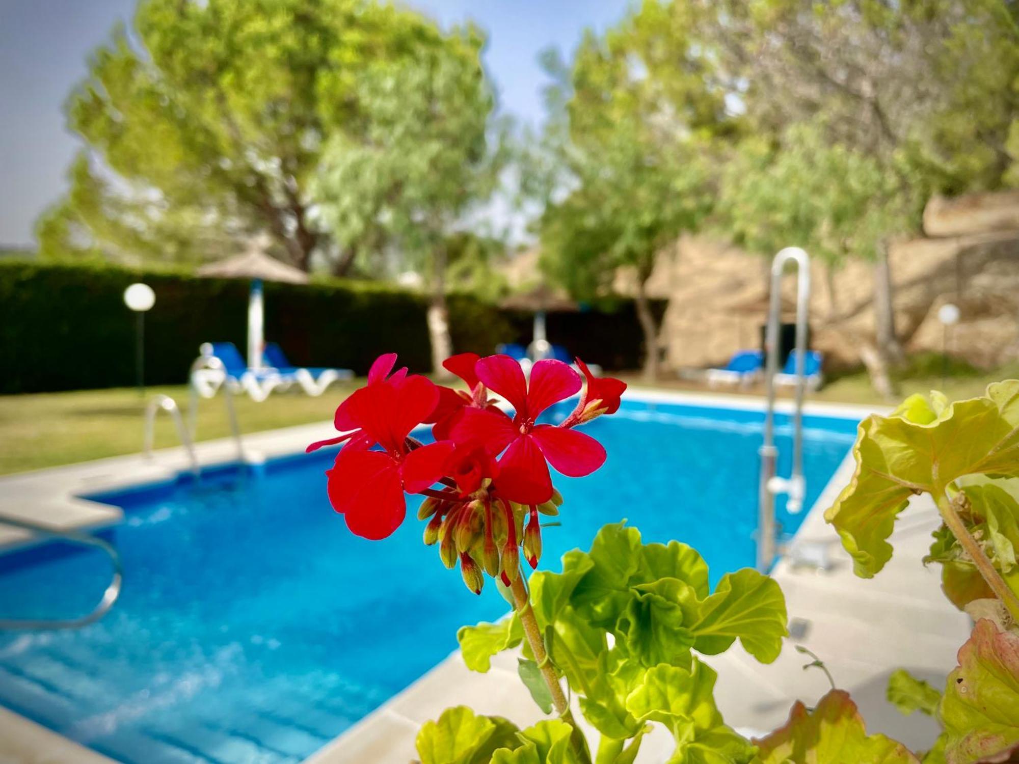 Hotel Tugasa Villa De Algar Алгар Екстериор снимка